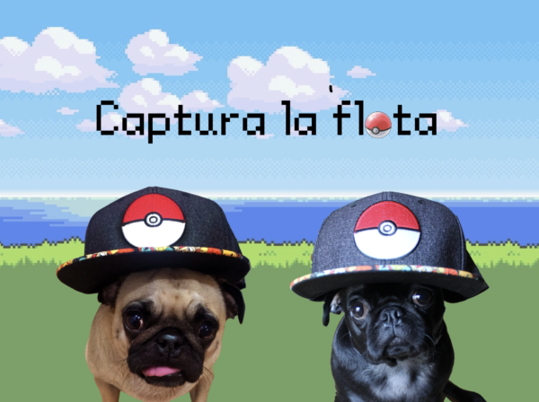 Captura la flota - Imagen 2