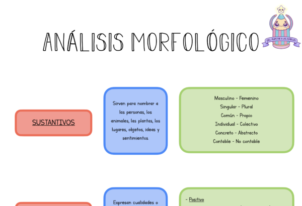 Infografía Morfología + Conectores - Imagen 2